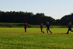 Coneys12811