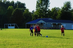Coneys12844