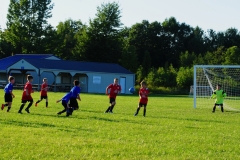 Coneys12882