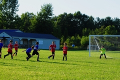 Coneys12883
