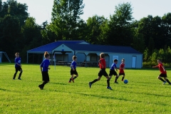 Coneys12907