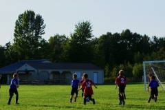 Coneys12940