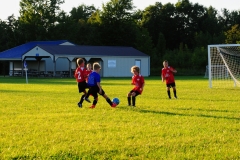 Coneys13045