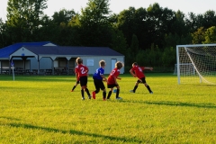 Coneys13050
