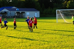 Coneys13060
