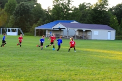 Coneys13065
